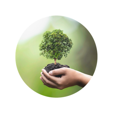 Kredyt ssl Kredyt ssl