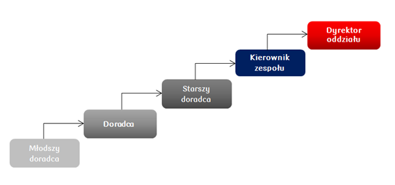 Ścieżka kariery w sieci sprzedaży Ścieżka kariery w sieci sprzedaży